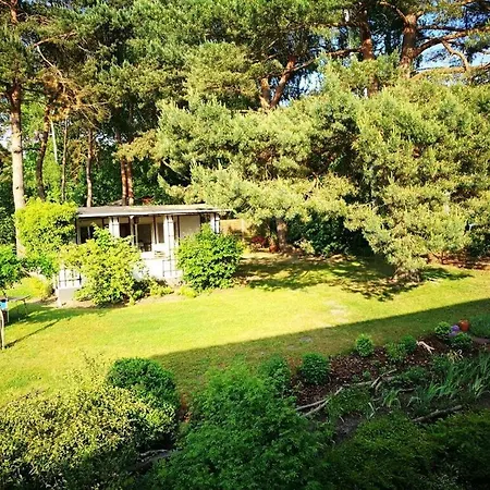 Majestic In Werder Apartment Werder (Havel)